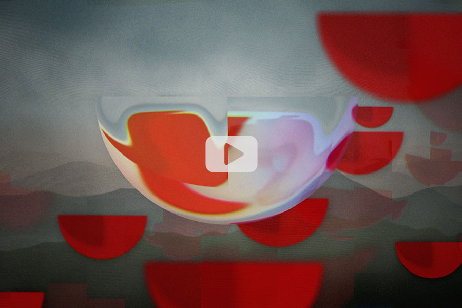 Play: Ornithology