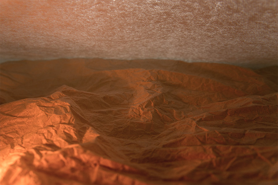 Simulacrum #4